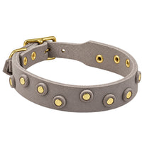 Fettleder-Halsband Pure Dots in Grau mit runden Nieten, Ösen und Schnalle in Messing