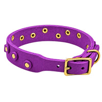 Fettleder-Halsband Pure Dots in Lila, Schnallenseite mit D-Ring, Ösen und Nieten in Messing
