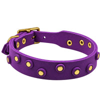 Fettleder-Halsband Pure Dots in Lila mit runden Nieten, Ösen und Schnalle in Messing