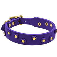 Fettleder-Halsband Pure Dots in Indigoblau mit runden Nieten, Ösen und Schnalle in Messing