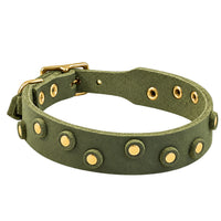 Fettleder-Halsband Pure Dots in Olivgrün mit runden Nieten, Ösen und Schnalle in Messing