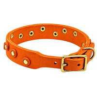 Fettleder-Halsband Pure Dots in Orange, Schnallenseite mit D-Ring, Ösen und Nieten in Messing