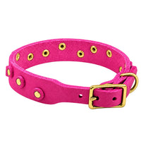 Fettleder-Halsband Pure Dots in Pink, Schnallenseite mit D-Ring, Ösen und Nieten in Messing