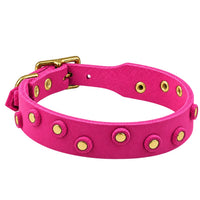Fettleder-Halsband Pure Dots in Pink mit runden Nieten, Ösen und Schnalle in Messing