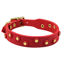 Fettleder-Halsband Pure Dots in Rot mit runden Nieten, Ösen und Schnalle in Messing