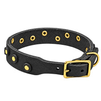 Fettleder-Halsband Pure Dots in Schwarz, Schnallenseite mit D-Ring, Ösen und Nieten in Messing