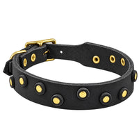 Fettleder-Halsband Pure Dots in Schwarz mit runden Nieten, Ösen und Schnalle in Messing