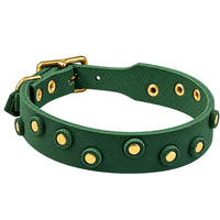 Fettleder-Halsband Pure Dots in Tannengrün mit runden Nieten, Ösen und Schnalle in Messing