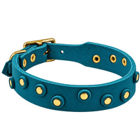 Fettleder-Halsband Pure Dots in Türkis mit runden Nieten, Ösen und Schnalle in Messing