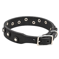 Fettleder-Halsband Pure Dots – Produkt- & Detailansicht | Bellepet