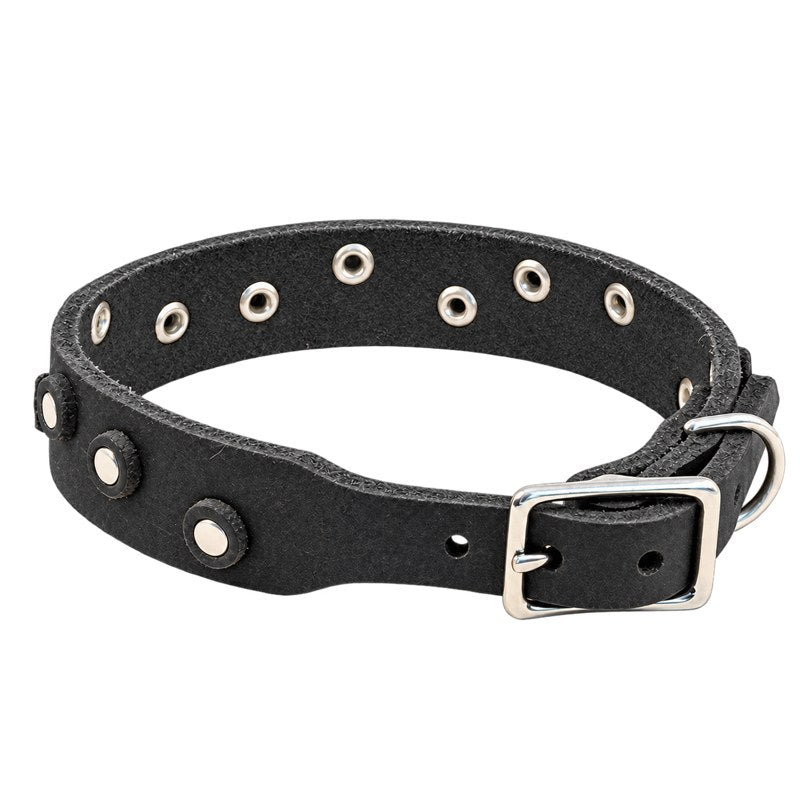 Bellepet Fettleder-Halsband „Pure Dots“