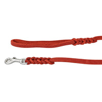 Detail: Handschlaufe und Edelstahl-Karabiner mit geflochtenen Übergängen an der Schleppleine in Rot