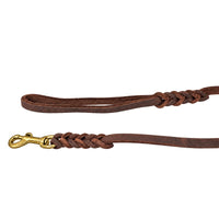 Detail: Handschlaufe und Messing-Karabiner mit geflochtenen Übergängen an der Schleppleine in Dunkelbraun