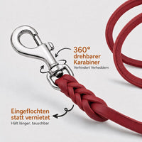 Detail: drehbarer Chromkarabiner mit eingeflochtenem Ende an Fettlederleine in Rot