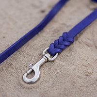 Detail: Chrom-Karabiner und Flechtverbindung einer Fettlederleine in Blau auf Sand