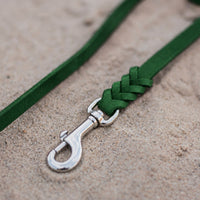 Detail: Edelstahl-Karabiner und Flechtverbindung einer Fettlederleine in Grün auf Sand