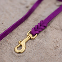 Detail: Messing-Karabiner und Flechtverbindung einer Fettlederleine in Lila auf Sand
