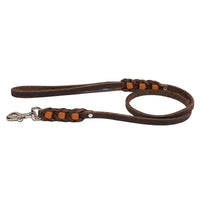 Führleine Melange mit Biothane-Einsätzen in Hellbraun, dunkelbraunem Fettleder und Chrom-Karabiner