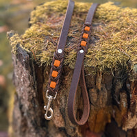 Führleine Melange aus dunkelbraunem Leder mit Einsätzen in Mandarine auf moosbewachsenem Baumstumpf