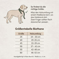 Größentabelle Biothane-Halsband mit Schnalle: Halsumfang je Größe 35 bis 60 und Messanleitung