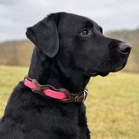 Schwarzer Labrador mit Halsband „Braidy Farbrausch“ in Rosa und braunem Leder vor unscharfer Wiese