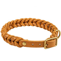 Geflochtenes Fettleder-Halsband Braidy in Cognac mit Dornschnalle und D-Ring in Messing