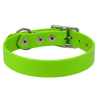 Biothane-Halsband in Apfelgrün von hinten mit drei Nieten, D-Ring und Dornschnalle aus Chrom