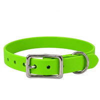 Biothane-Halsband in Apfelgrün mit rechteckiger Dornschnalle und D-Ring aus Chrom, Vorderansicht