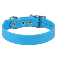 Biothane-Halsband in Azur von hinten mit drei Nieten, D-Ring und Dornschnalle aus Chrom