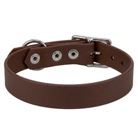 Biothane-Halsband in Dunkelbraun von hinten mit drei Nieten, D-Ring und Dornschnalle aus Chrom