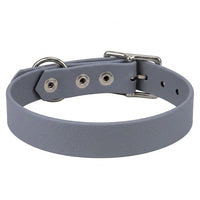 Biothane-Halsband in Grau von hinten mit drei Nieten, D-Ring und Dornschnalle aus Chrom