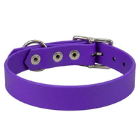 Biothane-Halsband in Lila von hinten mit drei Nieten, D-Ring und Dornschnalle aus Chrom
