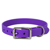 Biothane-Halsband in Lila mit rechteckiger Dornschnalle und D-Ring aus Chrom, Vorderansicht