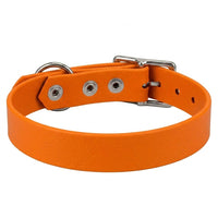 Biothane-Halsband in Mandarine von hinten mit drei Nieten, D-Ring und Dornschnalle aus Chrom