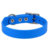 Biothane-Halsband in Mittelblau von hinten mit drei Nieten, D-Ring und Dornschnalle aus Chrom