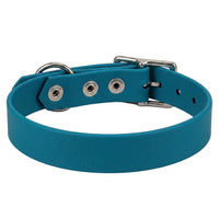 Biothane-Halsband in Petrol von hinten mit drei Nieten, D-Ring und Dornschnalle aus Chrom