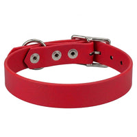 Biothane-Halsband in Rot von hinten mit drei Nieten, D-Ring und Dornschnalle aus Chrom