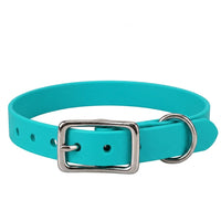 Biothane-Halsband in Türkis mit rechteckiger Dornschnalle und D-Ring aus Chrom, Vorderansicht