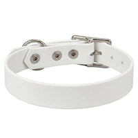 Biothane-Halsband in Weiß von hinten mit drei Nieten, D-Ring und Dornschnalle aus Chrom