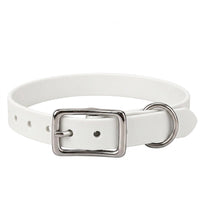 Biothane-Halsband in Weiß mit rechteckiger Dornschnalle und D-Ring aus Chrom, Vorderansicht