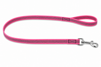 Einfache Leine Nylon — Neon