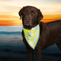 Trixie - Safer Life Halstuch