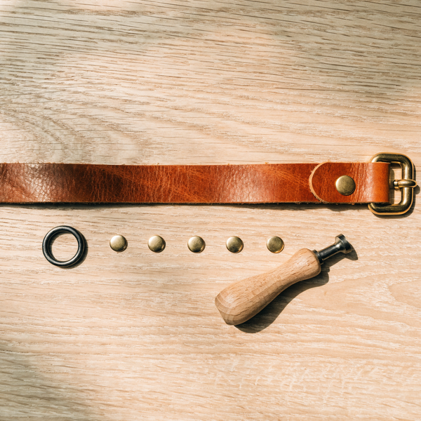 DIY-Set „Halsband-Werkstatt"