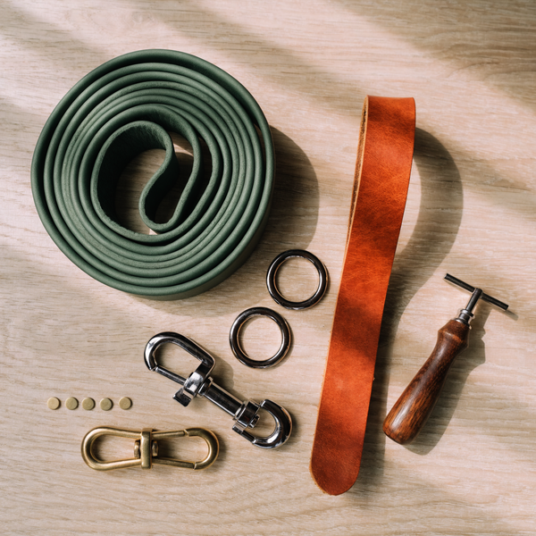 DIY-Set „Halsband + Leine Kombi"