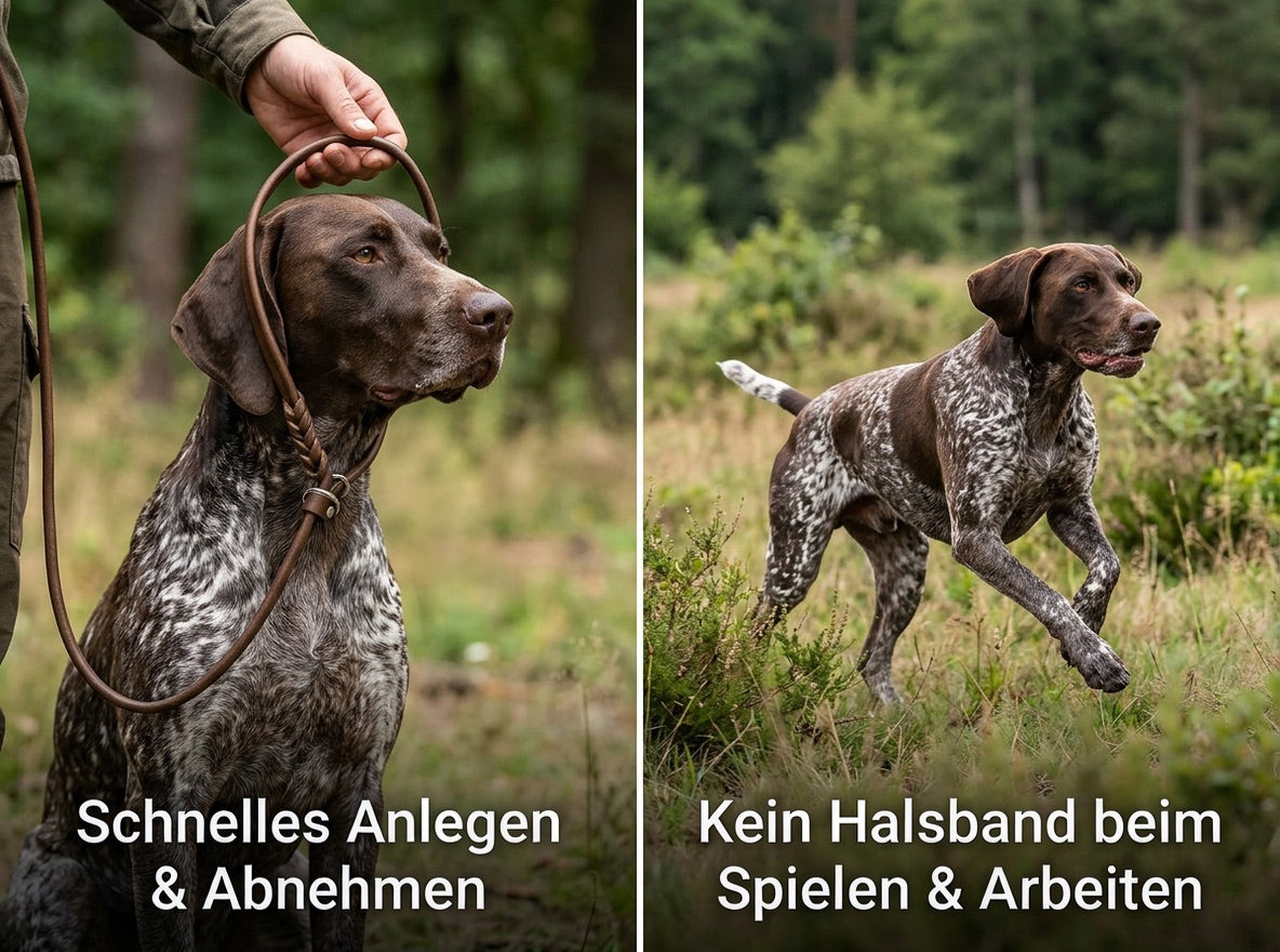 Zwei Fotos: Links streift eine Hand einem Deutsch Kurzhaar eine braune Moxonleine aus Fettleder über den Kopf, Bildtext „Schnelles Anlegen & Abnehmen“; rechts läuft der Hund ohne Halsband über eine Wiese, Bildtext „Kein Halsband beim Spielen & Arbeiten“