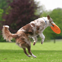 Trixie - Hundefrisbee / Dog Disc