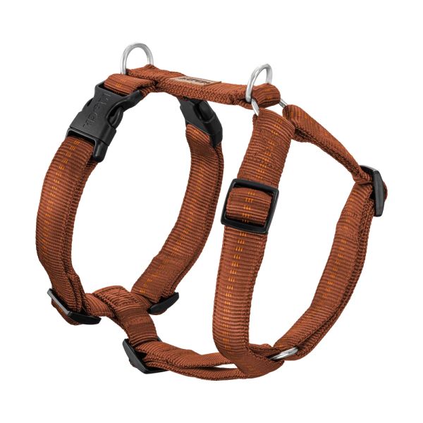 Koch Nylon Hundegeschirr Premium gepolstert