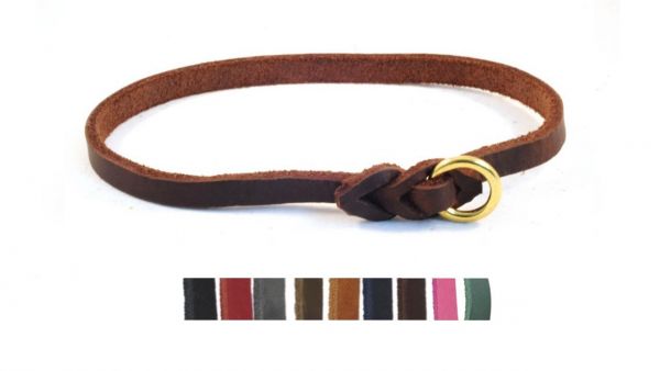 Bellepet Leichtes Halsband Aus Fettleder Fur Kleine Hunde Messing Messing Fettleder Leder Hundehalsbander Hundeleinen De Alles Rund Um Ihren Hund