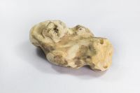 Bellepet Kaffeeholz-Kauwurzel Bellepet Kaffeeholz-Kauwurzel